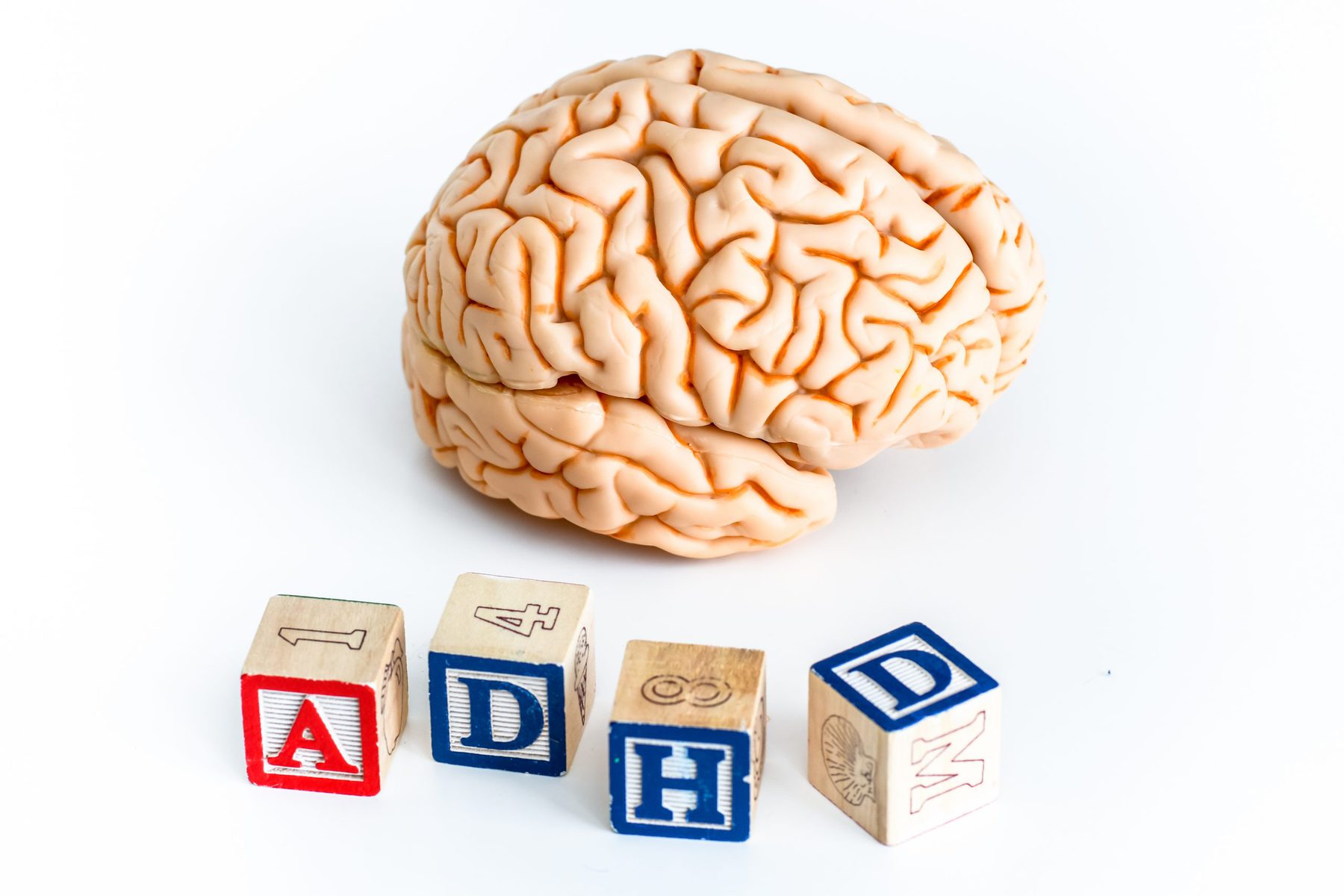 brain with letters ADHD underneath