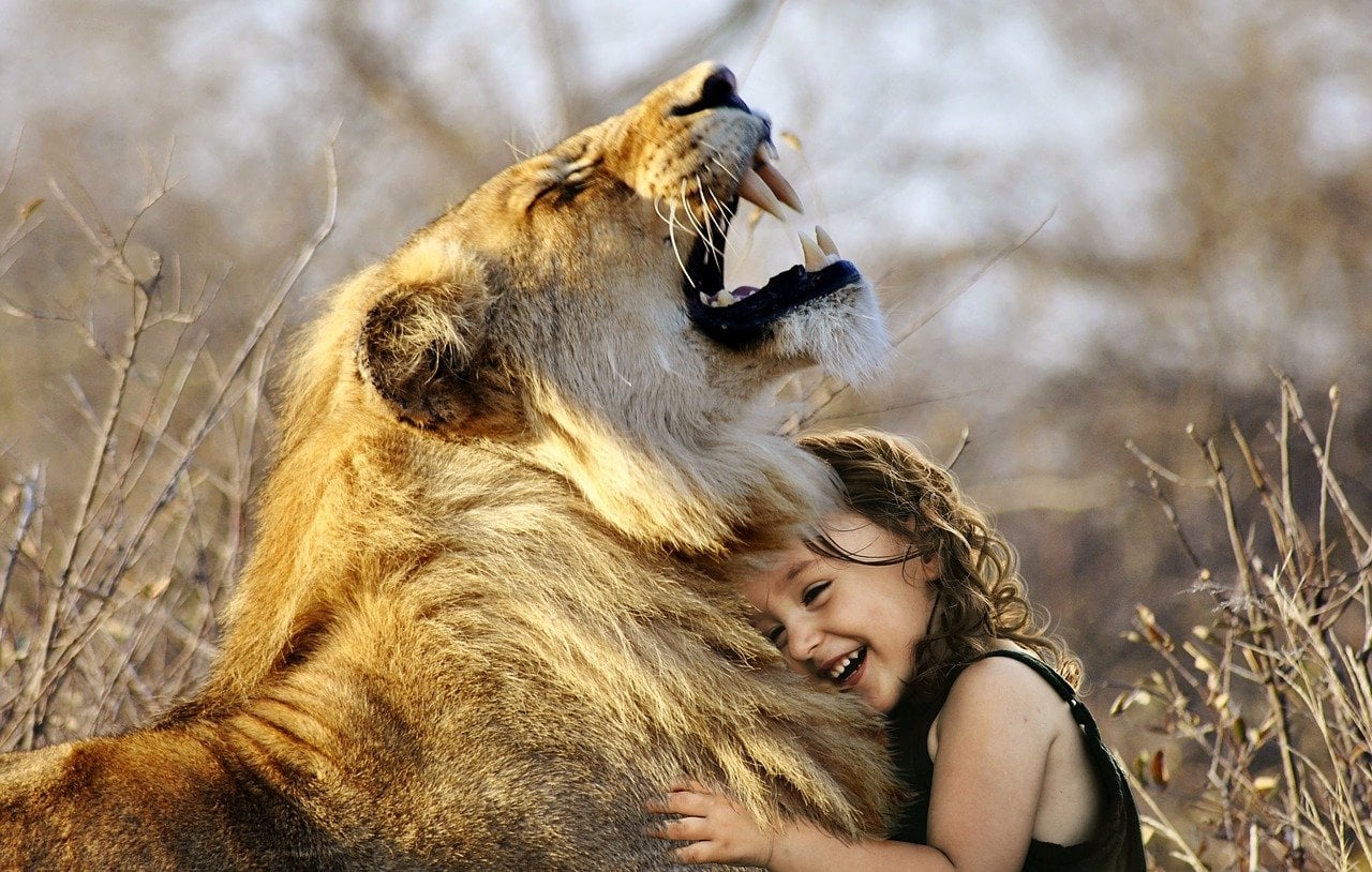 lion hug