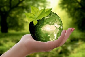 caring for the earth